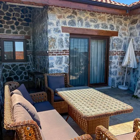 Liva İznik